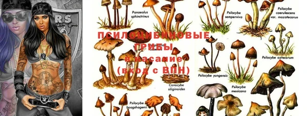 марихуана Корсаков