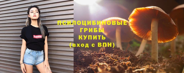 индика Краснотурьинск