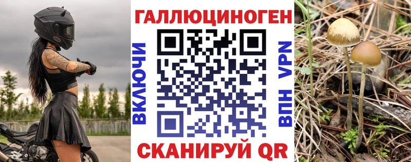 Галлюциногенные грибы Psilocybe  Купить закладки  Домодедово 